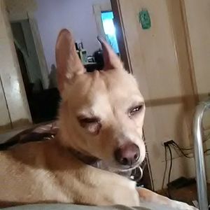 Meet your Posher, Connie